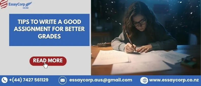 Tips to Write a Good Assignment for Better Grades